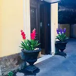 C Luxury Palace And Hostel